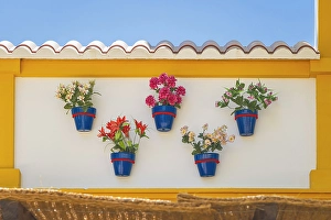 Clear Sky Prints: Jerez de la Frontera, Cadiz, Andalusia