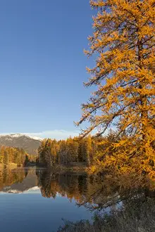 Images Dated 10th November 2011: Jessup Mill Pond in autumn with snow capped Swan Mountains near Creston, Montana, USA
