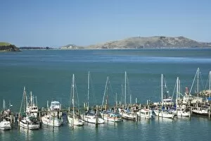 Images Dated 29th October 2007: Jetty, Careys Bay, Otago Harbour, Dunedin, South Island, New Zealand