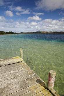 Northland Prints: Jetty, Lake Taharoa, Kai Iwi Lakes, Northland, North Island, New Zealand
