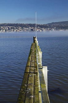 Perspective Prints: Jetty at Vauxhall, fog over Otago Harbour, and Dunedin, South Island, New Zealand