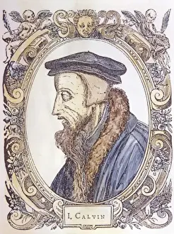 White Background Prints: John Calvin, 1509-64. Protestant Theologian Copyright: aACollectionLtd