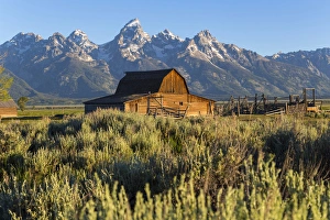 Images Dated 28th June 2013: John Moulton historic barn, Mormon Row, Grand Teton National Park, Wyoming, USA