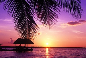 Images Dated 19th January 2011: John Pennekamp State Park, Florida Keys, Key West, Florida, USA