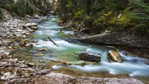 Flowing Prints: Johnston Canyon, Banff National Park, Alberta, Canada