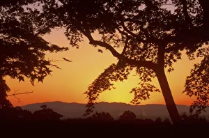 Arashiyama Prints: Jojakkoji at Dawn
