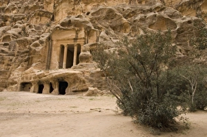 Carve Prints: Jordan, Beida, also known as Little Petra
