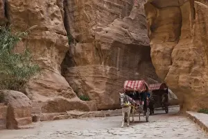 Images Dated 9th March 2011: Jordan, Petra-Wadi Musa, Ancient Nabatean City of Petra, horse taxi in the Siq