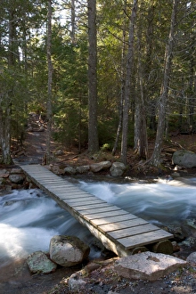 Brook Prints: Jordan Stream after heavy rains in spring. Acadia National Park in Maine