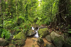 Queensland Prints: Josephine Falls is one of the most popular sets of waterfalls on the south side of Cairns