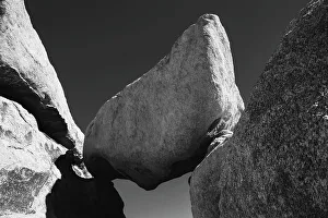 Images Dated 8th November 2022: Joshua Tree National Park, California