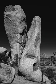 Images Dated 8th November 2022: Joshua Tree National Park, California