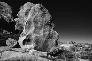 Images Dated 8th November 2022: Joshua Tree National Park, California