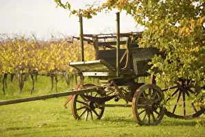 Wagon Prints: Juanico Winery, Uruguays largest and most award-winning Winery 38km North of of Montevideo