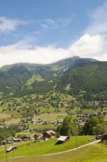 Grindelwald Prints: Jungfrau Region, Switzerland. Alpine pasture enar Grindelwald Valley below Eiger