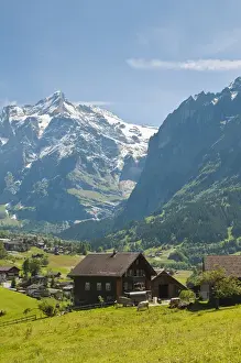 Images Dated 23rd June 2010: Jungfrau Region, Switzerland. Grindelwald Valley below the Wetterhorn