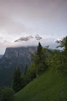 Images Dated 22nd June 2010: Jungfrau Region, Switzerland. Jungfrau massif from Murren
