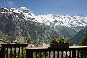 Images Dated 23rd June 2010: Jungfrau Region, Switzerland. Jungfrau massif from Murren
