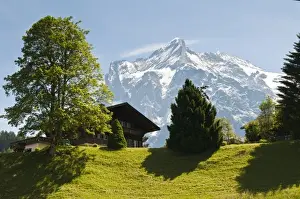 Jungfrau Prints: Jungfrau Region, Switzerland. Jungfrau peak from Murren
