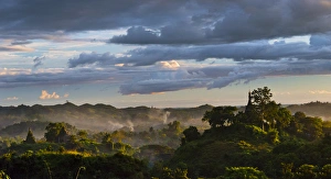 Mrauk U Prints: Jungle in sunset mist, Mrauk-U, Rakhine State, Myanmar