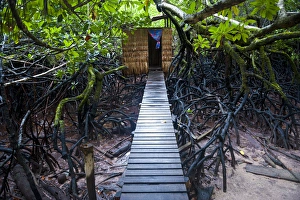 Footbridge Prints: Jungle toilet on a an islet ot the Marovo Lagoon, Salomon Islands, Pacific
