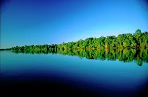 Mato Grosso Prints: Juruena, Brazil. Forested river bank reflected in the water with no clouds in the sky