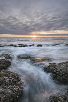 Images Dated 31st January 2020: Kalaloch Beach 4 at sunset, Olympic National Park, Washington State