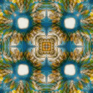 Abstract Gallery: Kaleidoscope abstract