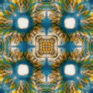 Abstract Collection: Kaleidoscope abstract