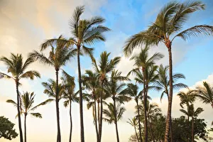 Images Dated 14th February 2013: Kaloko-Honokohau Beach Park near Kona, Big Island, Hawaii, USA