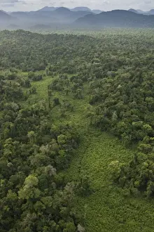 Images Dated 6th December 2015: Kanaku Mountains Savanna Rurununi GUYANA South America