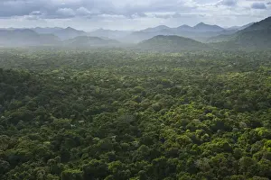 Images Dated 6th December 2015: Kanaku Mountains Savanna Rurununi GUYANA South America