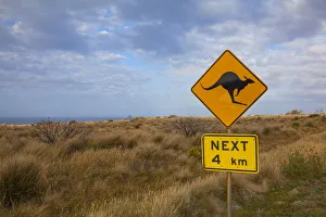 Michele Niles Prints: Kangaroo caution road sign along the Great Ocean Road, Australia