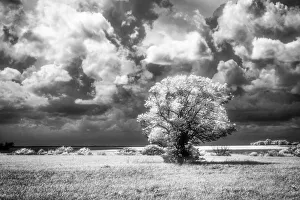 Flint Hills Prints: Kansas plains glowing with sun before the approaching storm arrives