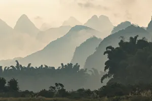 Bamboo Prints: Karst formations and bamboo trees silhouetted in morning mist, Li River at sunrise