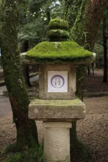 Kasuga-Taisha Shrine in Nara, Japan is famous for its large number of ancient stone