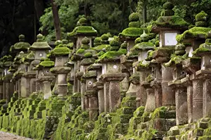 Kansai Prints: Kasuga-Taisha Shrine in Nara, Japan is famous for its large number of ancient stone