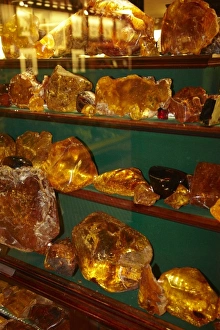 Images Dated 16th December 2010: Kauri Gum, The Kauri Museum, Matakohe, Northland, North Island, New Zealand