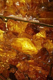 Images Dated 16th December 2010: Kauri Gum, The Kauri Museum, Matakohe, Northland, North Island, New Zealand