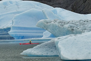 Prints of Kayaker exploring Grey Lake amid icebergs, Torres del Paine National Park, Chile, Patagonia Images Dated 2016 December: Kayaker exploring Grey Lake amid icebergs, Torres del Paine National Park, Chile