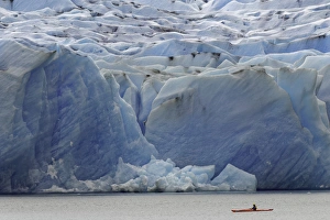 Kayaker Prints: Kayaker exploring Grey Lake and massive Grey Glacier, Torres del Paine National Park