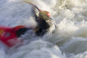Images Dated 24th April 2007: Kayakers in playboat kayaks in Brennans Wave surf in the Clark Fork River in