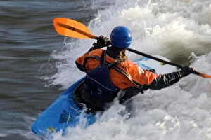 Images Dated 24th April 2007: Kayakers in playboat kayaks in Brennans Wave surf in the Clark Fork River in