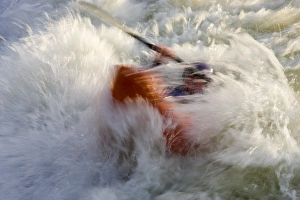 Images Dated 24th April 2007: Kayakers in playboat kayaks in Brennans Wave surf in the Clark Fork River in