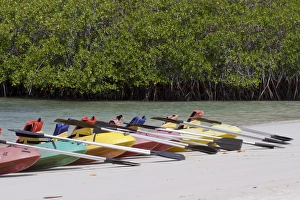Kayak Prints: Kayaks at Tortuga Bay, Santa Cruz Island, Galapagos Islands