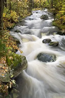 Winding Prints: Keenan Brook, Bog Dam Road, The White Mountains National Forest, New Hampshire