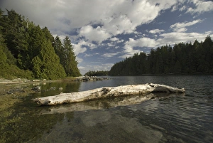 Images Dated 13th September 2006: Keith Island, Broken Island Group, Pacific Rim National Park Preserve, British Columbia