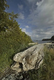 Images Dated 13th September 2006: Keith Island, Broken Island Group, Pacific Rim National Park Preserve, British Columbia
