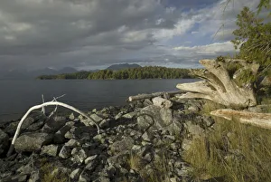 Images Dated 13th September 2006: Keith Island, Broken Island Group, Pacific Rim National Park Preserve, British Columbia