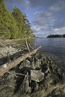 Images Dated 13th September 2006: Keith Island, Broken Island Group, Pacific Rim National Park Preserve, British Columbia